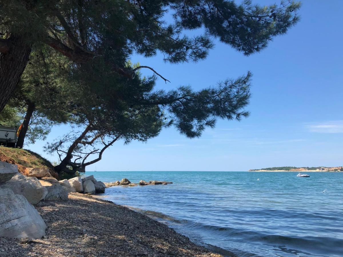Albatross Mobile Homes On Valamar Camping Lanterna Tar-Vabriga المظهر الخارجي الصورة